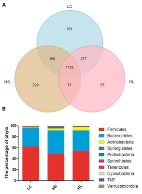 Feeding a High Concentration Diet Induces Unhealthy Alterations in the Composition and Metabolism of Ruminal Microbiota and Host Response in a Goat Model